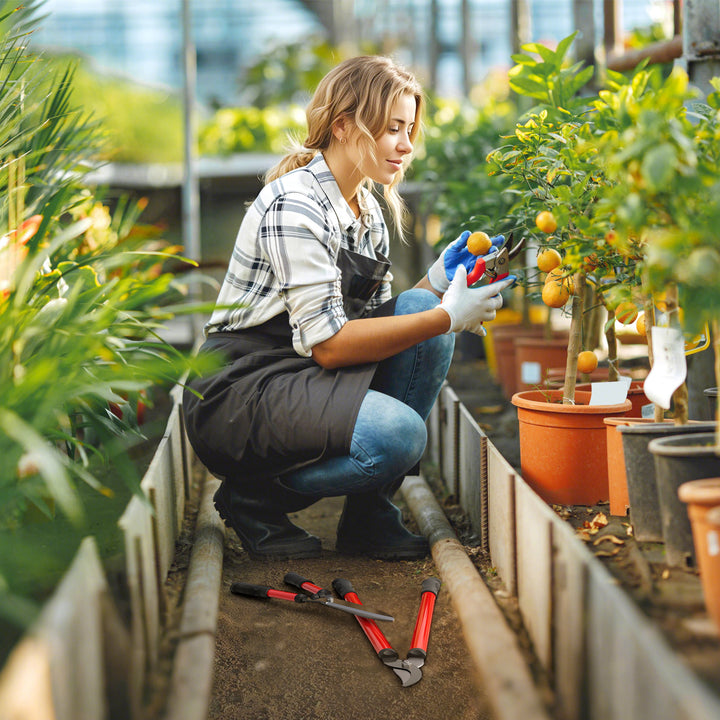 Conjunto de Ferramentas para Jardim de 3 Peças Conjunto de Ferramentas de Jardinagem com Tesouras Cortadores de Ramos Tesouras de Podar e Cabos de Borracha Antiderrapantes Leve Para Podar Plantas