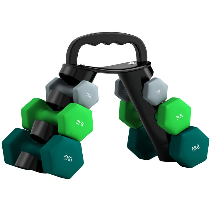 Conjunto de Halteres 2 x 1kg 2 x 3kg e 2 x 5kg Halteres Hexagonais com Suporte de Armazenamento para Treino em Casa Ginásio Multicor