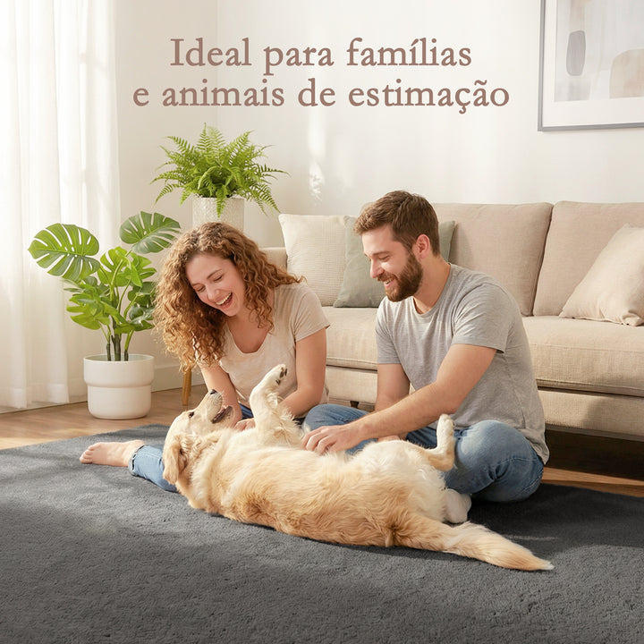 Tapete para Sala de Estar 230x160 cm Tapete Lavável à Máquina Pelo Longo Macio Estilo Moderno Tapete para Sala de Estar Quarto Sala de Jantar Cinza