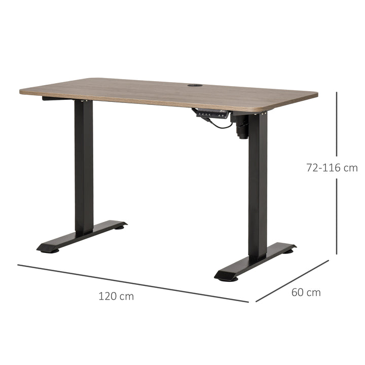 Secretária elétrica de pé Mesa ajustável em altura para escritório com 4 teclas de memória automática inteligente 120x60x72-116 cm moldura preto