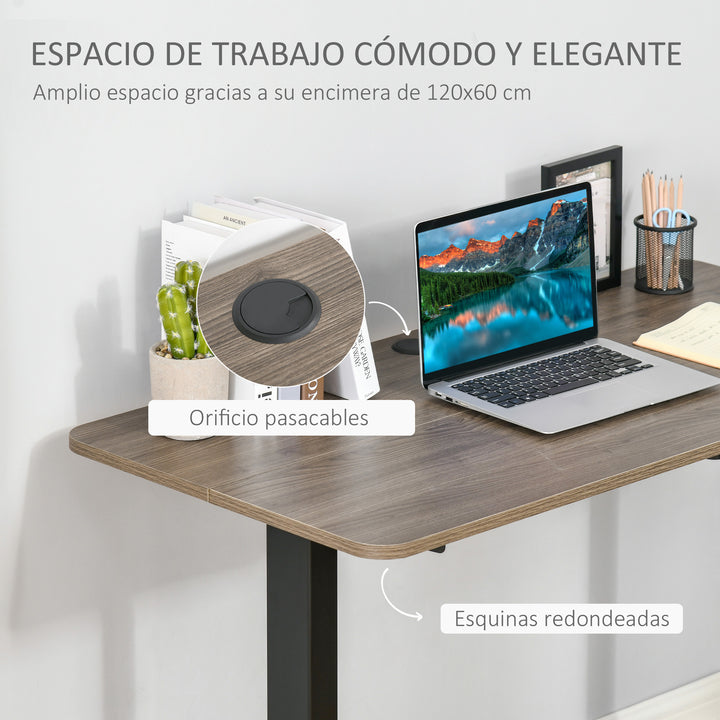 Secretária elétrica de pé Mesa ajustável em altura para escritório com 4 teclas de memória automática inteligente 120x60x72-116 cm moldura preto