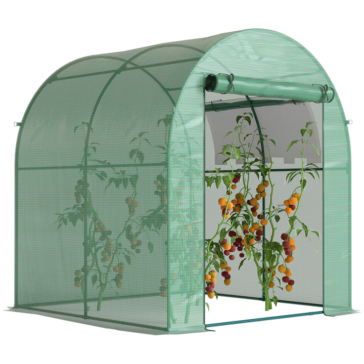 Estufa de Jardim 180x180x200 cm Estufa Tipo Túnel Pequena com Porta Enrolável e Janela de Malha para Cultivar Plantas Flores Verde
