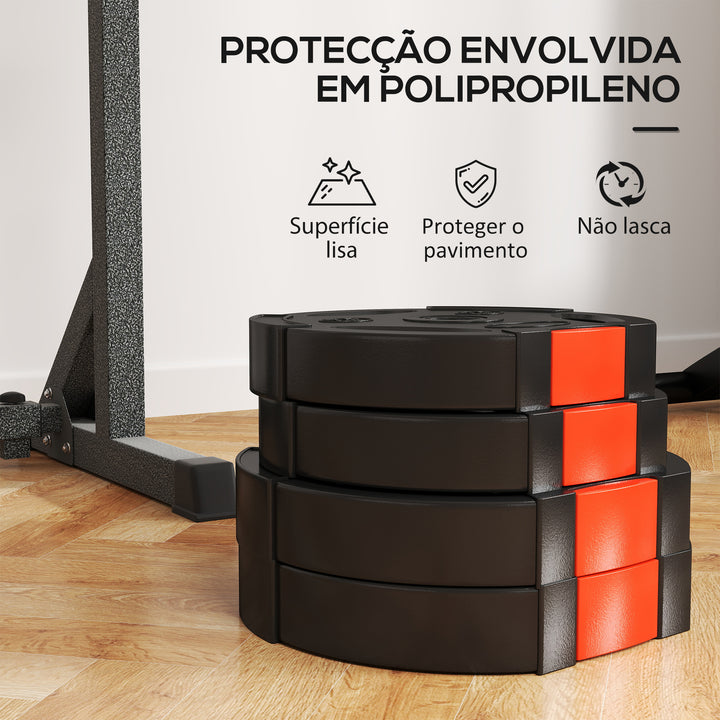 Conjunto de Discos de Pesos de 4 Peças Discos de Pesos 2x10 kg e 2x5 kg com Orifícios de 2,5 cm para Treino Fitness em Casa Ginásio Preto