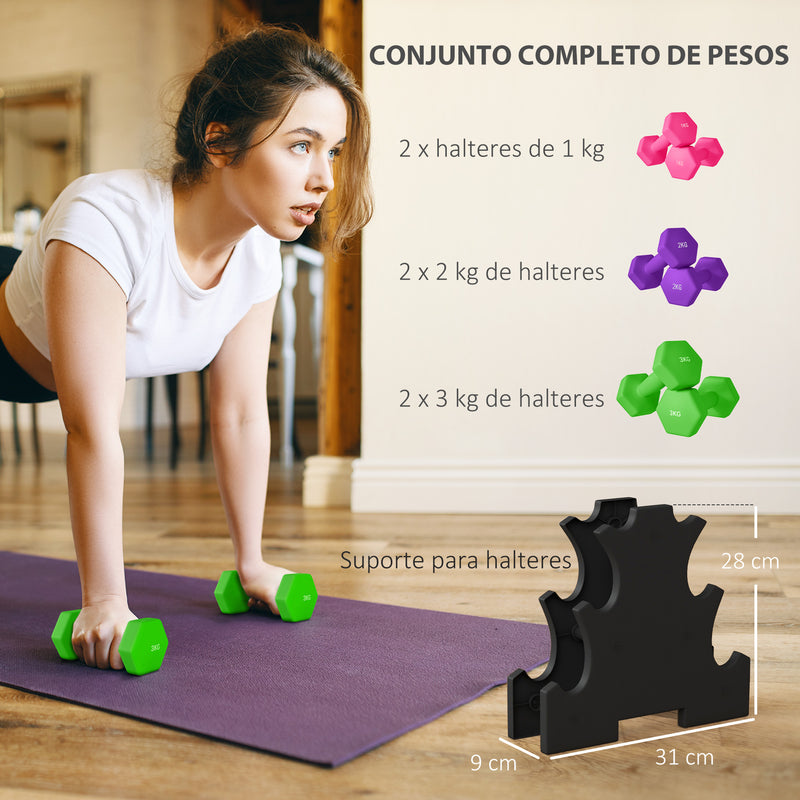 Jogo de Halteres 2x1 kg 2x2 kg 2x3 kg Conjunto de Halteres Hexagonais com Suporte de Armazenamento para Exercício Treino em Casa Ginásio Multicolor