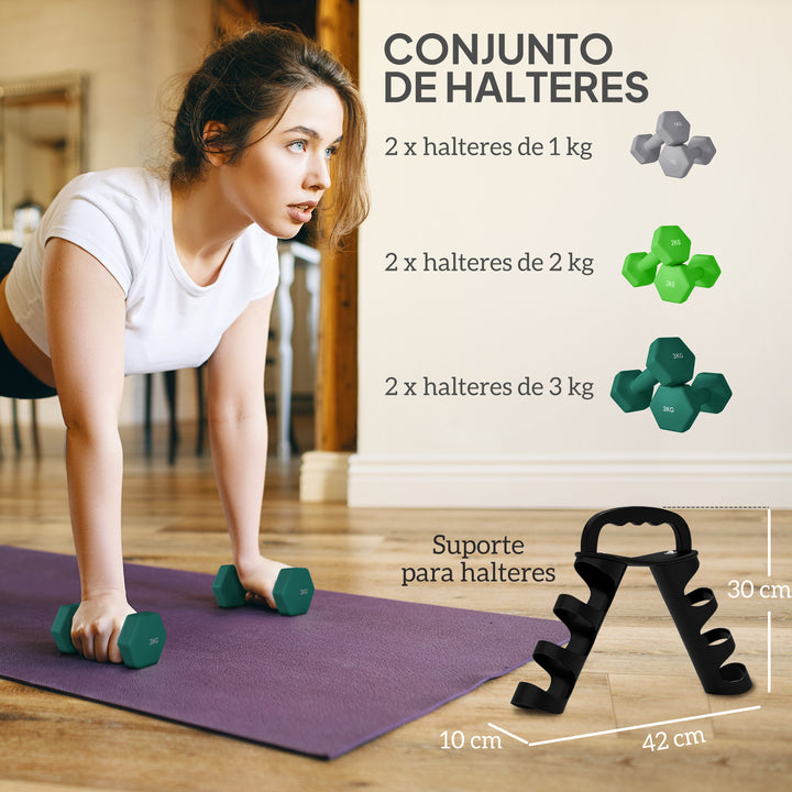 Conjunto de Halteres 2 x 1kg 2 x 2kg e 2 x 3kg Halteres Hexagonais com Suporte de Armazenamento para Treino em Casa Ginásio Multicor