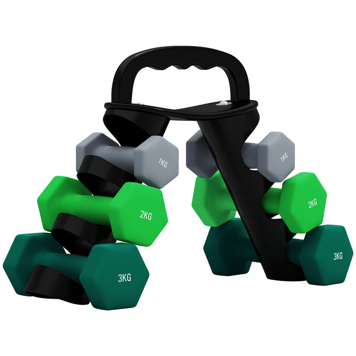 Conjunto de Halteres 2 x 1kg 2 x 2kg e 2 x 3kg Halteres Hexagonais com Suporte de Armazenamento para Treino em Casa Ginásio Multicor