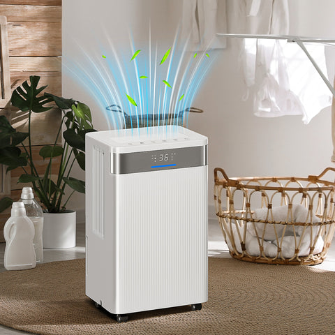 Desumidificador 12L/dia, Depósito 2L Silencioso com 3 Modos Ecrã LED, Temporizador 24H Bloqueio Infantil e Drenagem Contínua até 12-25m² Branco