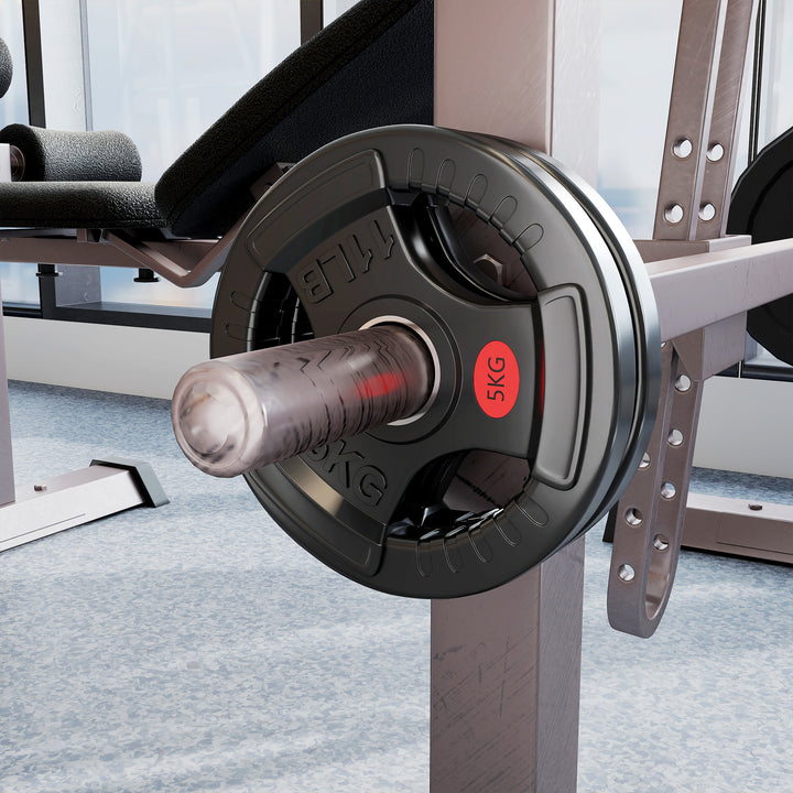 Discos de Pesos com Orifício de Ø50 mm 2 Discos de 10 kg com Anel Interior de Aço e Triplo Aperto para Halteres e Barras Treino Fitness em Casa Ginásio Ø32x4,5 cm Preto