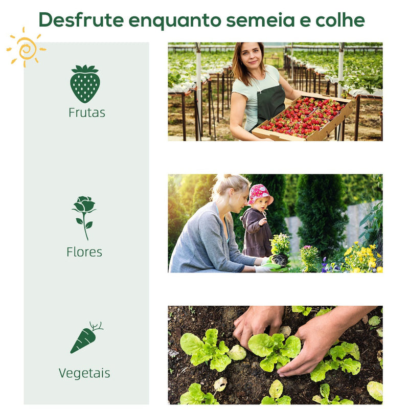 Estufa de Jardim com 4 Prateleiras Metálicas Porta Enrolável e Cobertura de PE Estufa de Varanda para Cultivo de Plantas Flores 80x49x160cm Verde