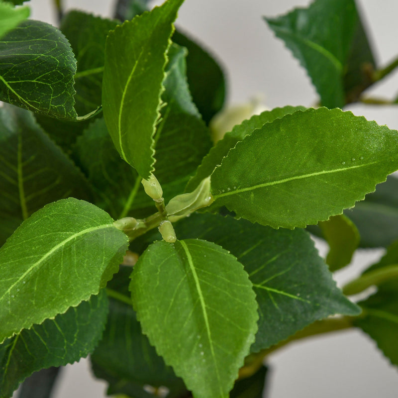 Camélia Artificial Planta Sintética de 150cm com Vaso de Cimento 285 Folhas Realistas e 25 Flores de Tecido Decoração para Casa Escritório e Exterior Verde