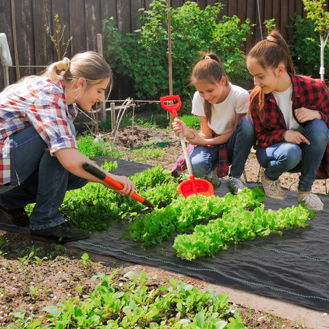 Rolo de Malha Anti-Ervas 2x50 m Malha Geotêxtil 130 g/m² para Controlo de Ervas Daninhas de Jardim Malha Anti-Ervas Preta