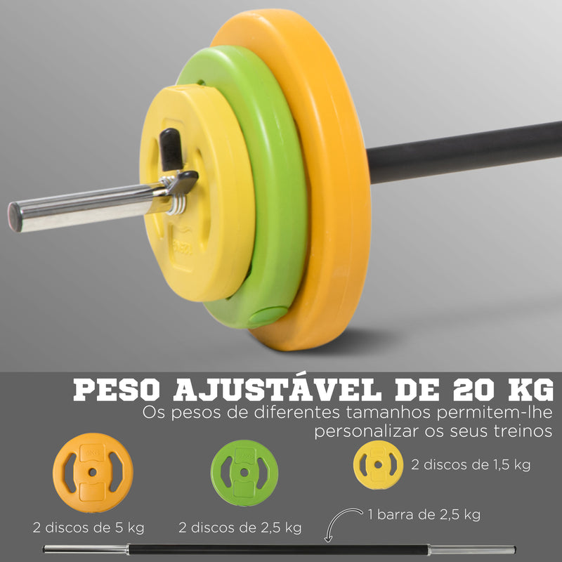 Conjunto de Barra de Pesos Conjunto de Musculação com 6 Discos de Pesos 1,5kg 2,5kg 5 kg Intercambiáveis para Treino de Força Braços em Ginásio Casa 130x28x28 cm Multicor